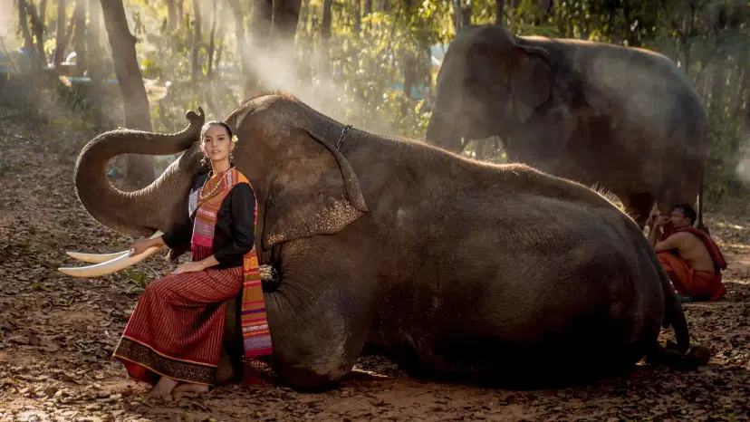A Guide To The Elephant Sanctuary In Koh Samui