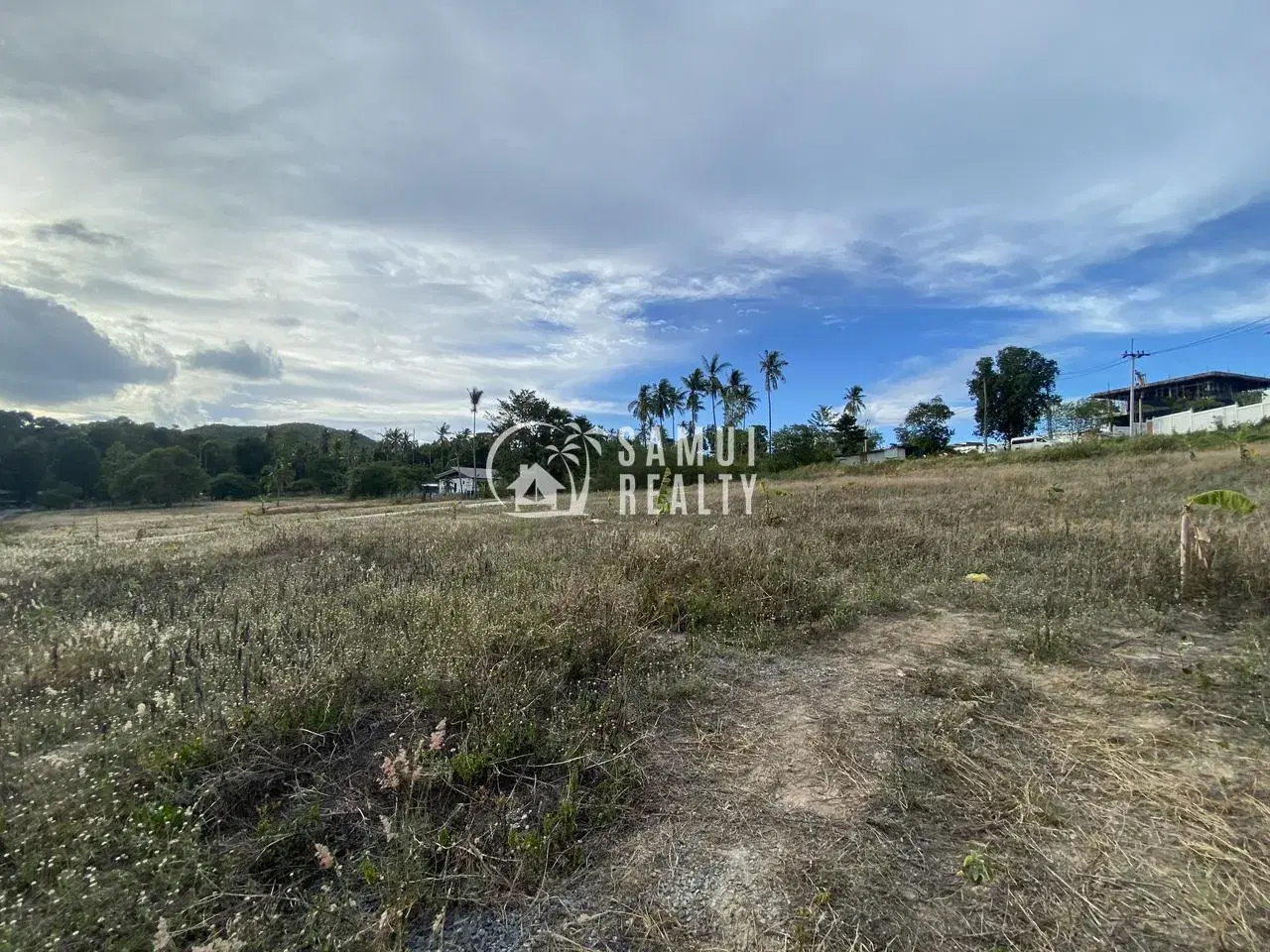 4 Rai Flat Land in Bangrak, Samui
