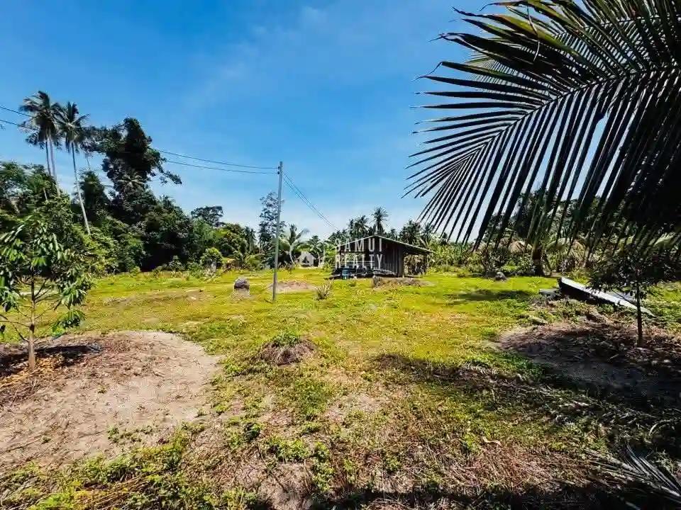 Tropical Paradise Awaits: 30 Rai Subdivided Land in Laem Sor, Koh Samui